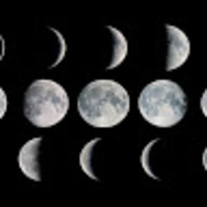 Meet your Posher, M.